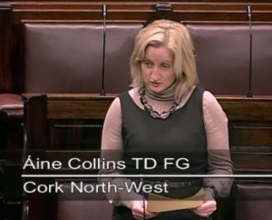 2011-11-16-Áine-Collins-TF-FG-speaking-in-the-Dáil-300x242
