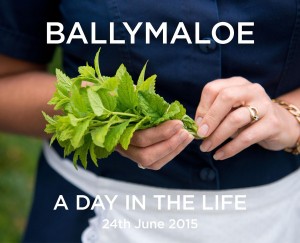 Front cover of Ballymaloe a day in the life(1)