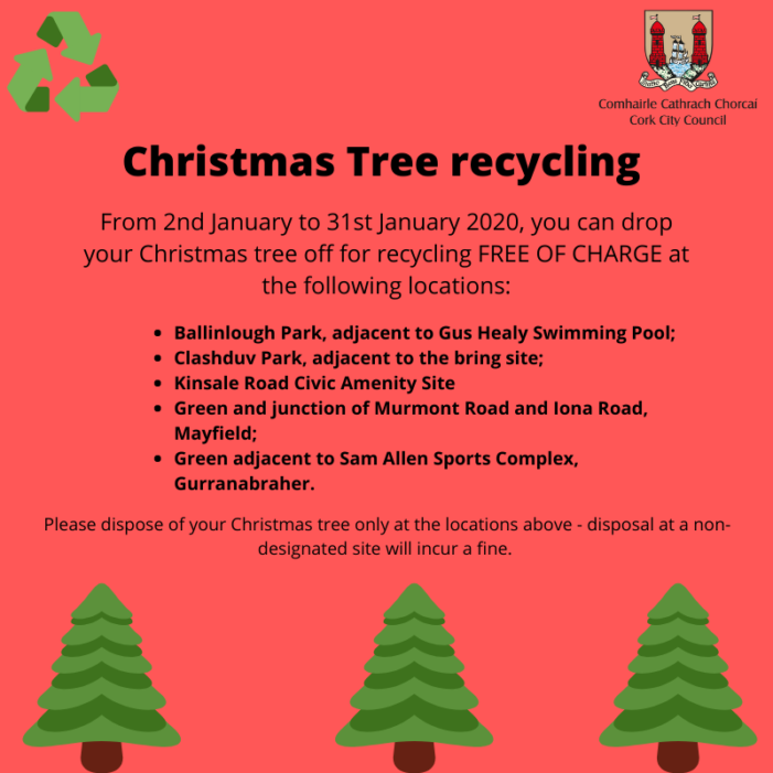 Where to dump a Christmas Tree in Cork? TheCork.ie (News & Entertainment)