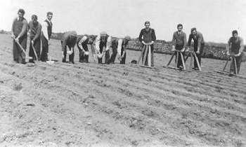 Hand sowing of sugar beet in 1936 at Clonakilty Agricultural College