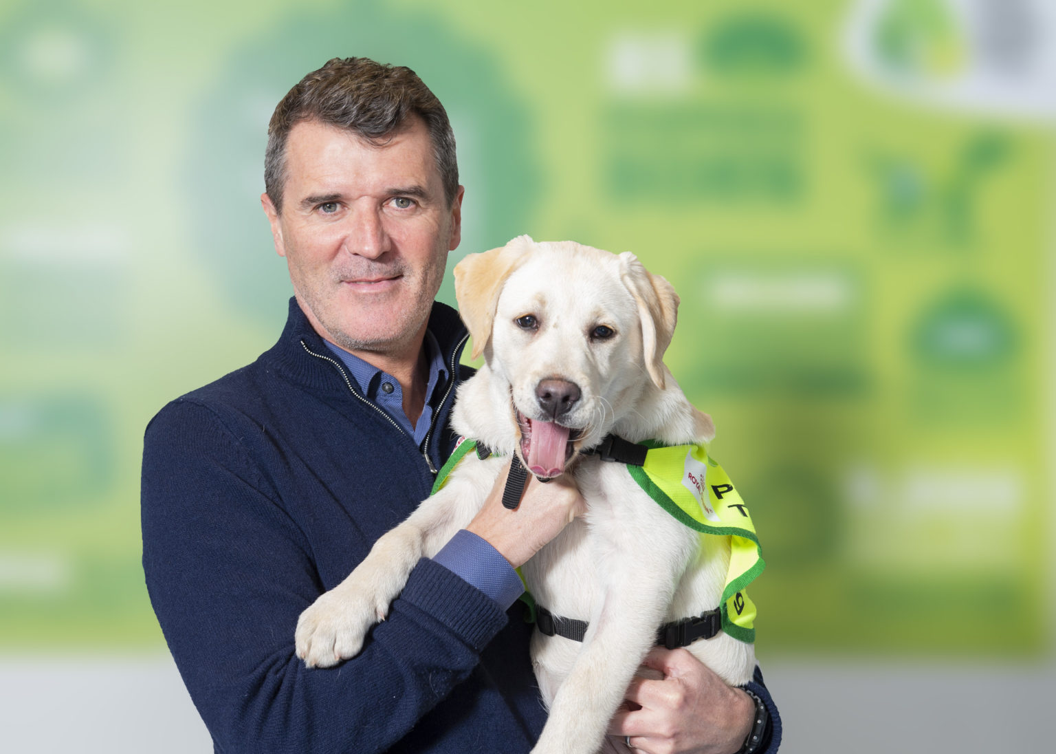 Irish Guide Dogs for the Blind need Puppy Raisers in Munster TheCork