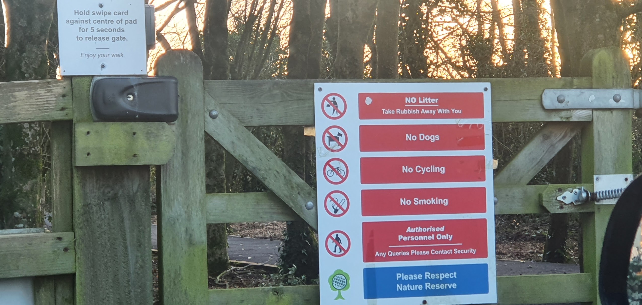 A bird reserve next to a pharmaceutical facility @LoughBegCork - Vimarsana News