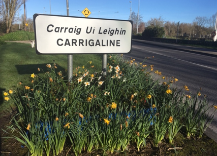 Carrigaline News - Vimarsana News