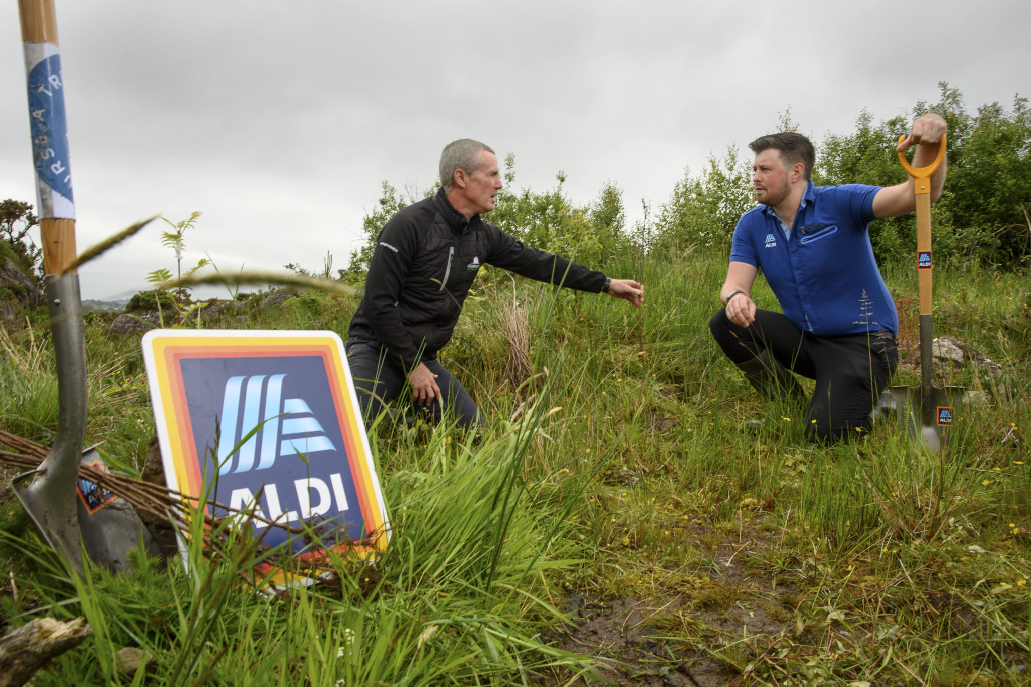Aldi plants 37,000 trees near Mitchelstown, County Cork TheCork.ie