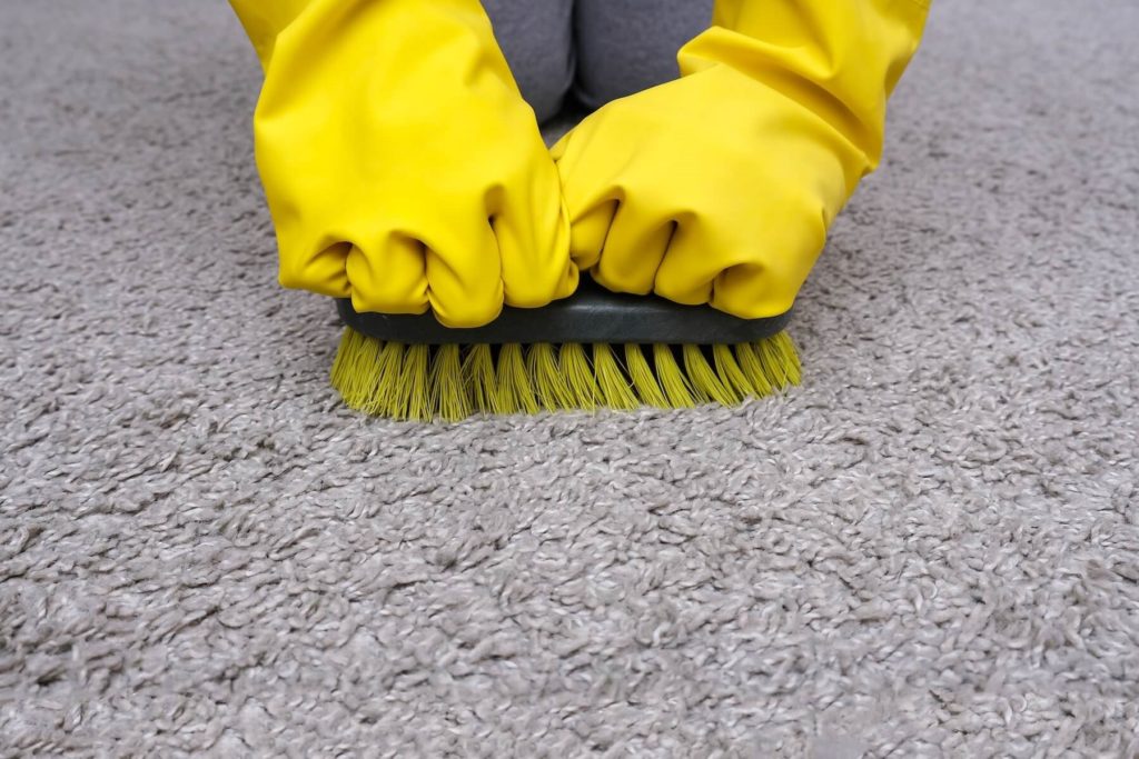 How To Deep Clean Your Rug Step by Step Guide TheCork.ie (News