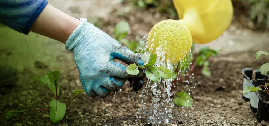Uisce Éireann to help Cork businesses make savings through more sustainable use of water - Vimarsana News