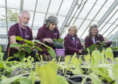 Winter on the way to Fota House and Gardens - Vimarsana News