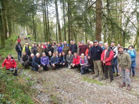 Cork County Council Invites Communities to Celebrate National Tree Week 2024 - Vimarsana News