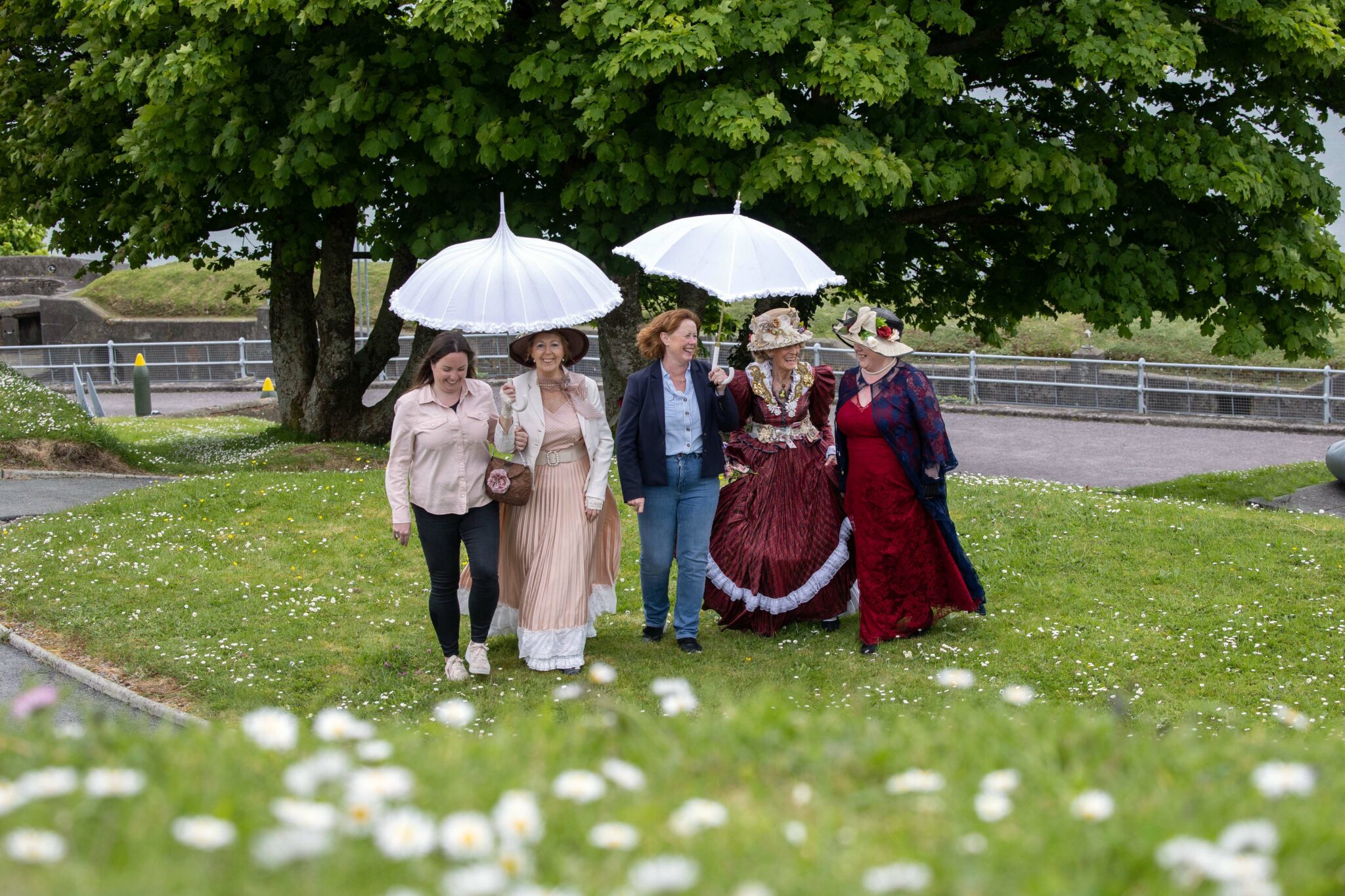 Cork Summer Show 2024 takes place on Saturday 15th and Sunday 16th June ...
