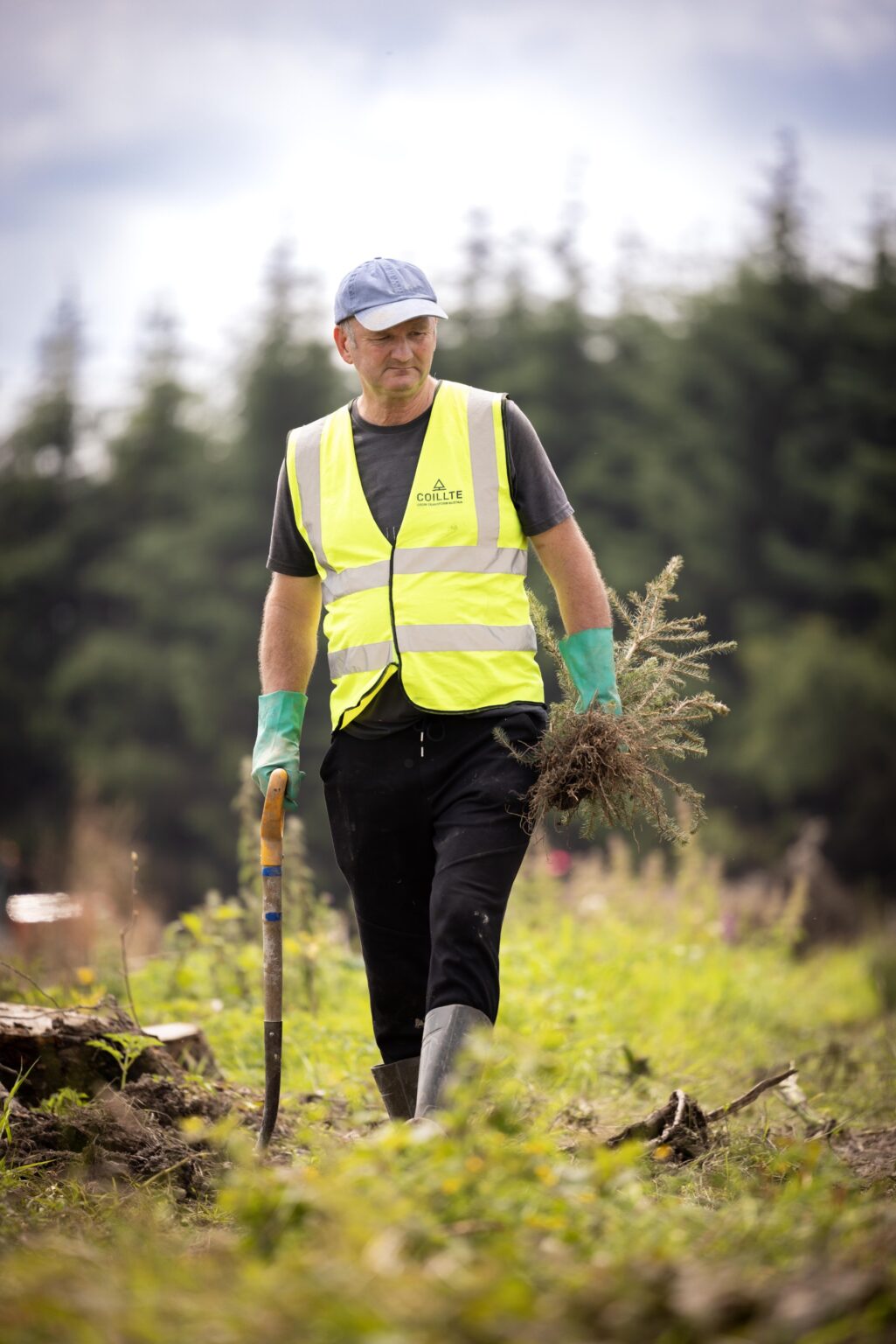 NORTH CORK: Coillte Marks Major Storm Recovery Milestone at Raheen ...