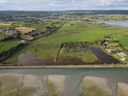 White’s Marsh, also known as the Island Stand Intake has been purchased by the State for its high nature value (Credit, Richard Mills).